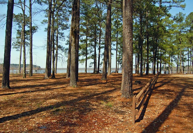 Bluff Lake - Noxubee National Wildlife Refuge, Brooksville, Mississippi