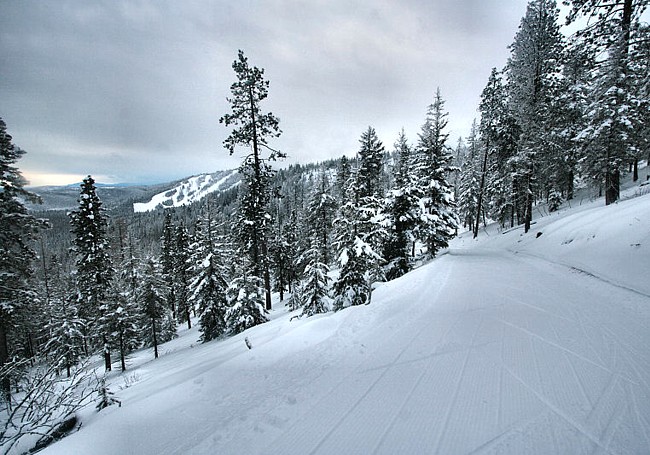 Bear Mountain Slopes - Okanogan County, Washington