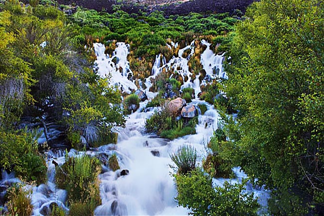 Niagara Springs - Thousand Springs State Park, Idaho