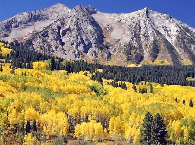 Kebler Pass - Gunnison County, Colorado