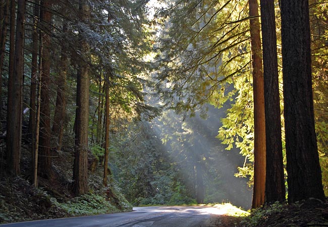 Nisqually Entrance Historic District - Mount Rainier National Park, Ashford, Washington