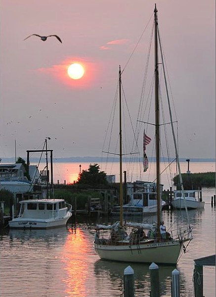 Tilghman Island - Talbot County, Maryland