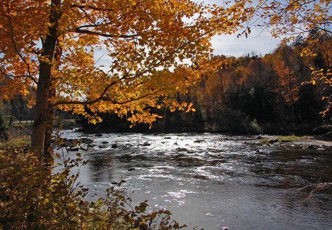 Ausable River - Lake Placid, New York