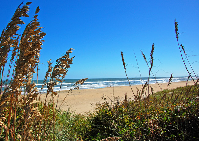 Pea Island NWR - Outer Banks, Rodanthe, North Carolina