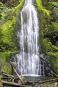 Marymere Falls - Olympic National Park, Washington