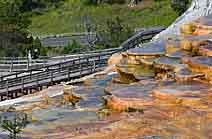 Terrace Boardwalk - Mammoth Hot Springs, Wyoming