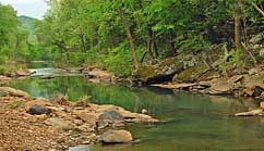 Mountain Fork Creek - Natural Dam, Arkansas