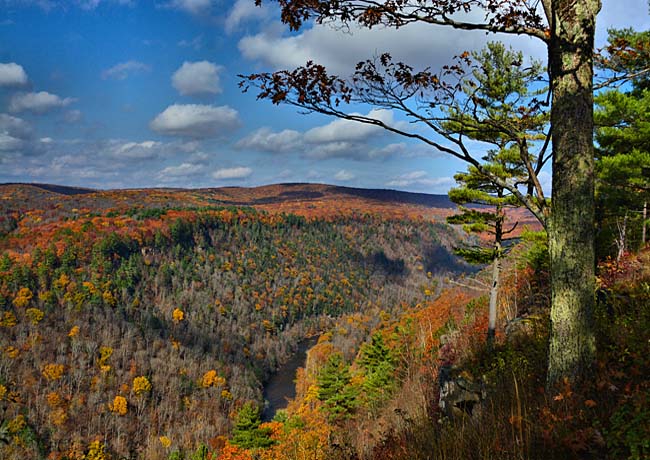 Pine Creek Gorge  - Ansonia, Pennsylvania