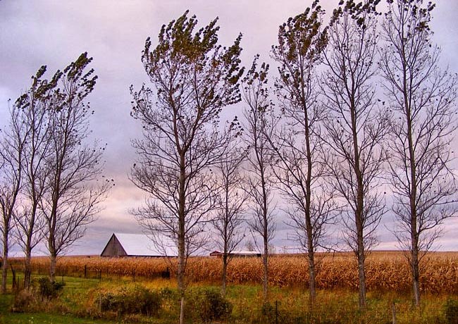 Eastern Iowa Farm - Grant Wood Scenic Byway