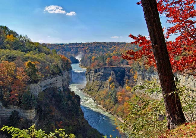 Genesee River Gorge - Letchworth State Park, New York