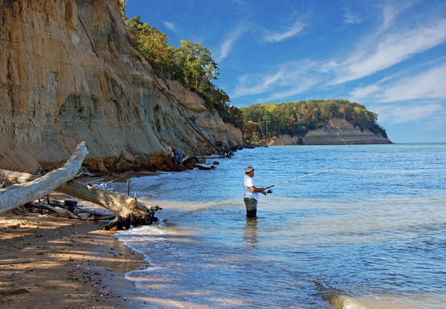 Calvert Cliffs State Park - Lusby, Maryland