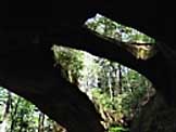 Inside looking up - Natural Bridge, Alabama