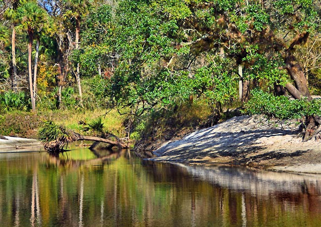 Econlockhatchee River - Geneva, Florida