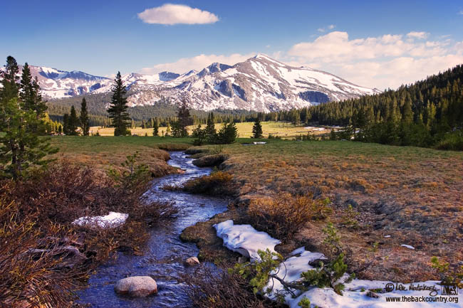 Mammoth Peak - Yosemite National Park, California