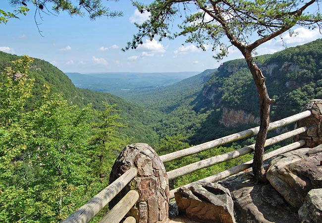 Cloudland Canyon Overlook - Cloudland Canyon State Park, Rising Fawn, Georgia