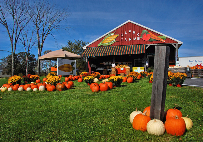 Clark Farms Market - Damariscotta, Maine