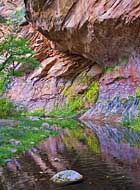 Oak Creek -  Oak Creek Canyon Trail, Sedona, AZ