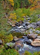 Oak Creek - Oak Creek Canyon, Arizona