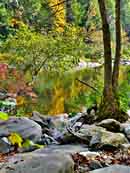 Wild and Scenic Obed River - Wartburg, Tennessee