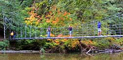 Ohanapecosh Swinging River Bridge - Grove of the Patriarchs