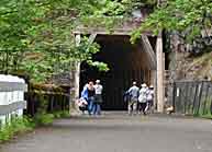 Oneonta Gorge Tunnel - Columbia River Highway State Trail, Oregon