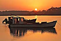 Oystermen Boats - Apalachee Bay, Florida