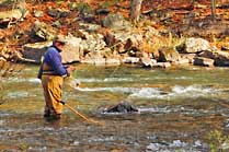 Penns Creek Angler - Bald Eagle State Forest, Pennsylvania