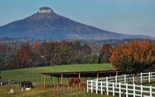 Distant view Pilot Mountain