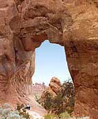 Pine Tree Arch - Arches National Park, Moab, Utah