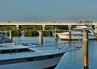 Pinellas Trail over Long Bayou