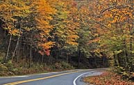 Pisgah National Forest