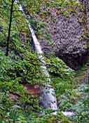 Ponytail Falls