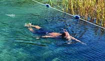 River Snorkler - Rainbow River State Park, Dunnellon, Florida