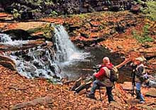 Ricketts Glen Photographers - Ricketts Glen