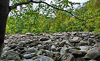 Ringing Rocks Boulder Field