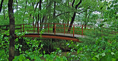 Illinois River Trail Bridge