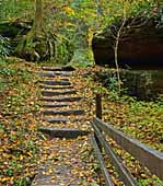 Rock Bridge Crossover - Pine Ridge, Kentucky