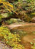 Rock Bridge - Clifty Wilderness, Kentucky