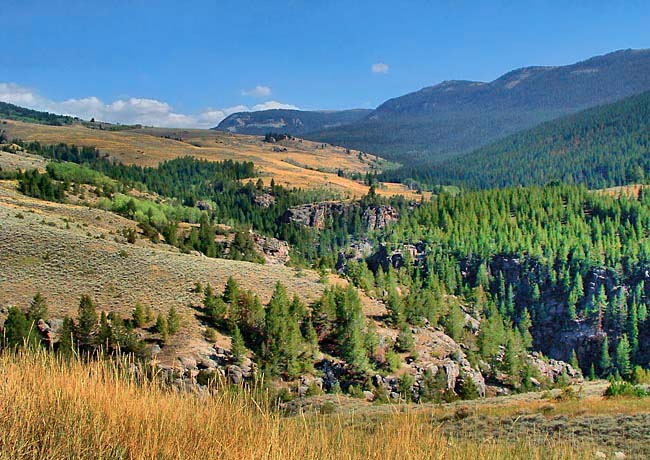 Bighorn Mountains - Dayton, Wyoming