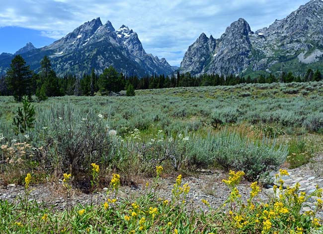 Cascade Canyon - Grand Tetons National Park, Wyoming