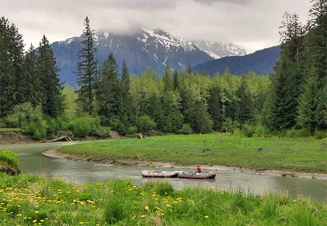 Gold Creek, Tongass National Forest - Juneau, Alaska