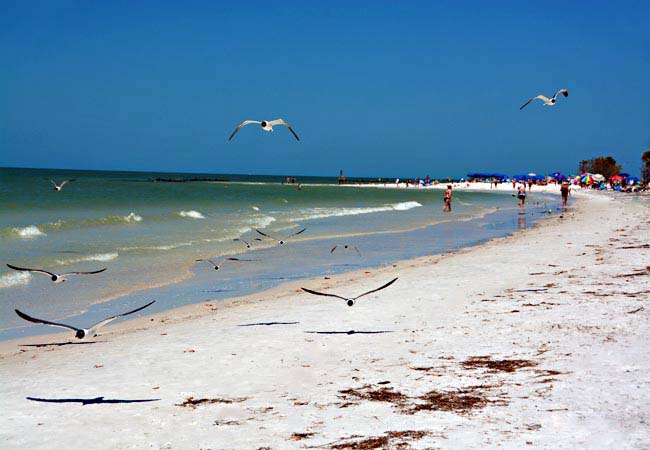 Honeymoon Key Beach - Honeymoon Island State Park, Dunedin, Florida