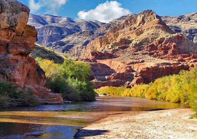 Cedar Pocket - Virgin River Canyon Recreation Site, Littlefield, Arizona