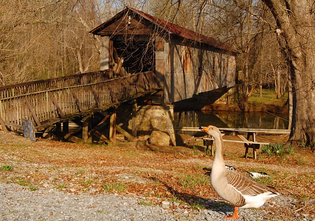 Kymulga Covered Bridge - Childersburg, Alabama