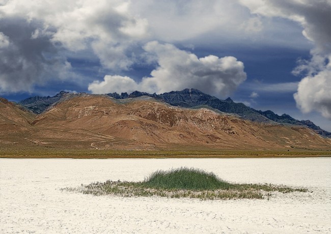 Alvord Desert - Frenchglen, Oregon