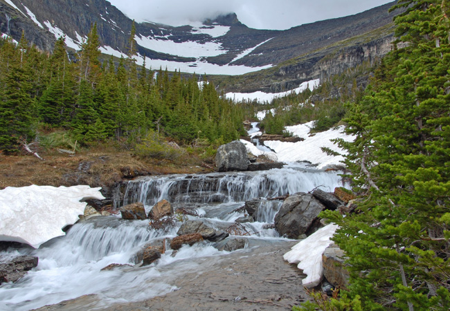 Lunch Creek - Glacier National Park, Montana