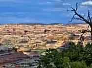 Salt Creek Canyon - Needles District, Monticello, Utah