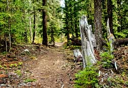 Santiam Wagon Road - Over the River Scenic Byway, Oregon