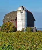 Seneca Lake Barn and Vineyard - Finger Lakes Region, NY