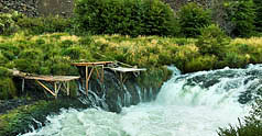 Sherars Falls, Deschutes River